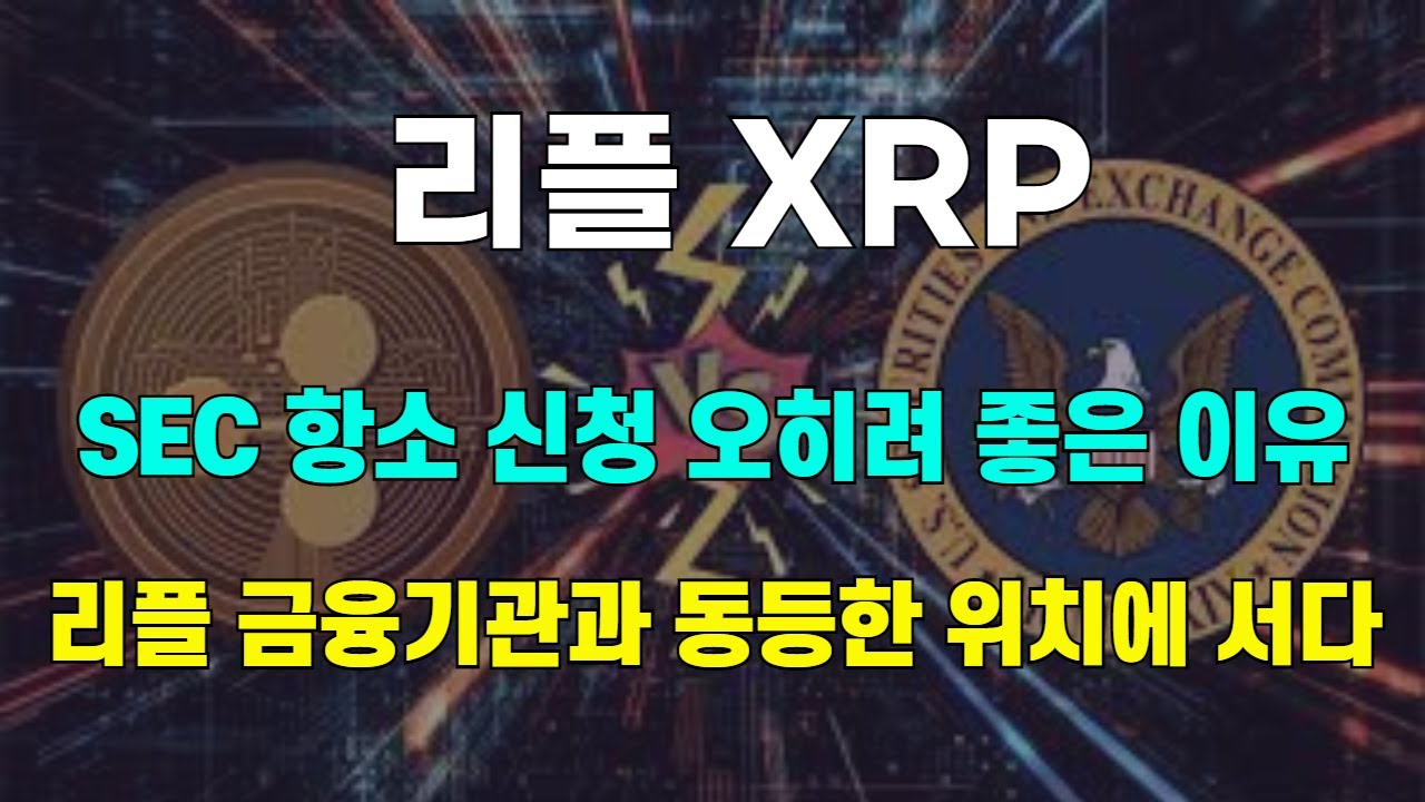 리플 XRP SEC 항소 신청 오히려 좋은 이유 리플 금융기관과 동등한 위치에 서다