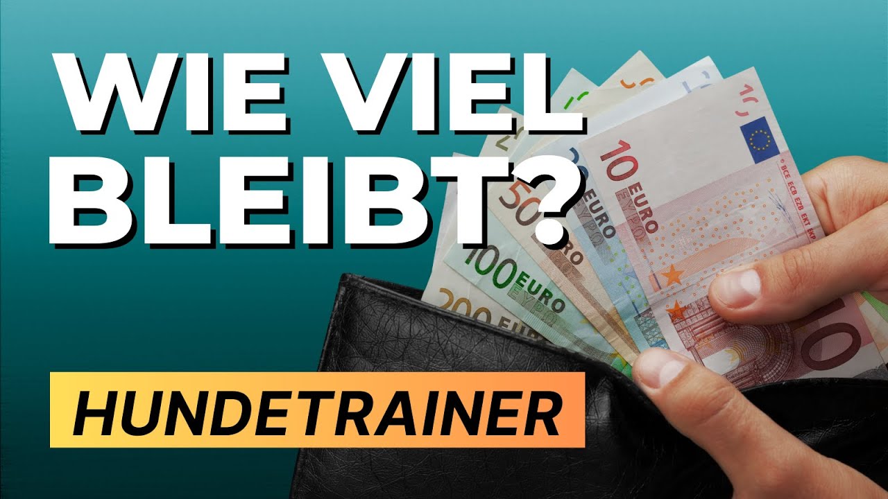 Wie viel verdient ein Hundetrainer? Das bleibt von 70€!