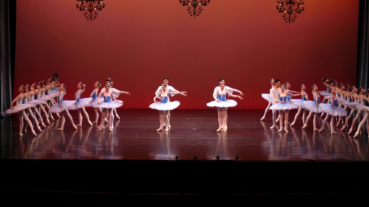 2017 선화예술고등학교 무용제(발레)