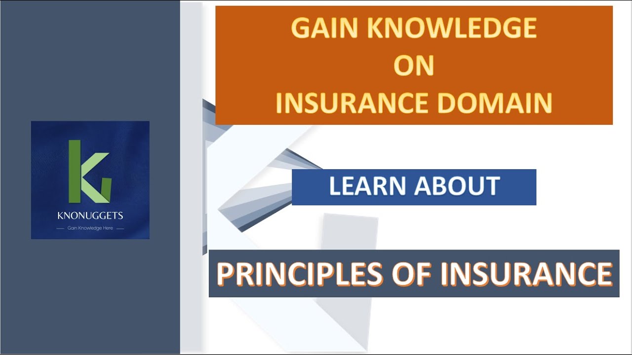Insurance Domain Training - 6. Principles of Insurance