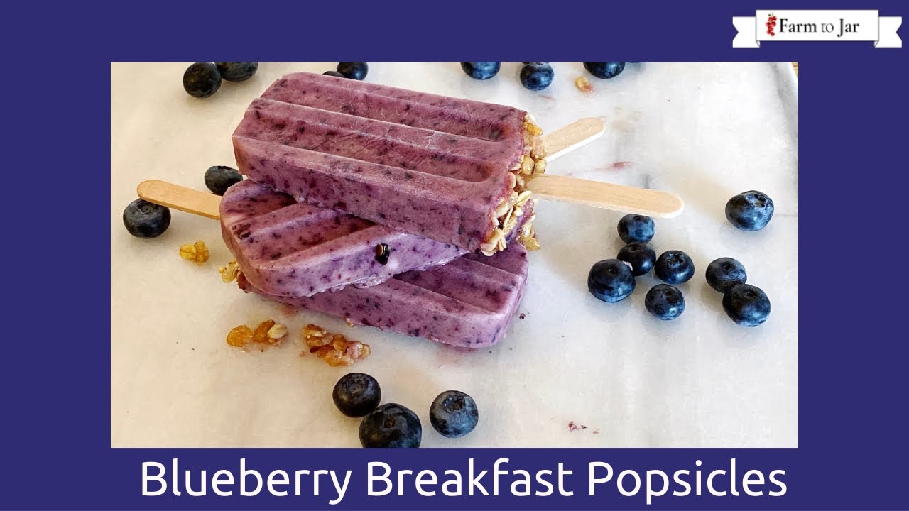 Low Carb Blueberry Yogurt Breakfast Popsicles - Easy low carb snack