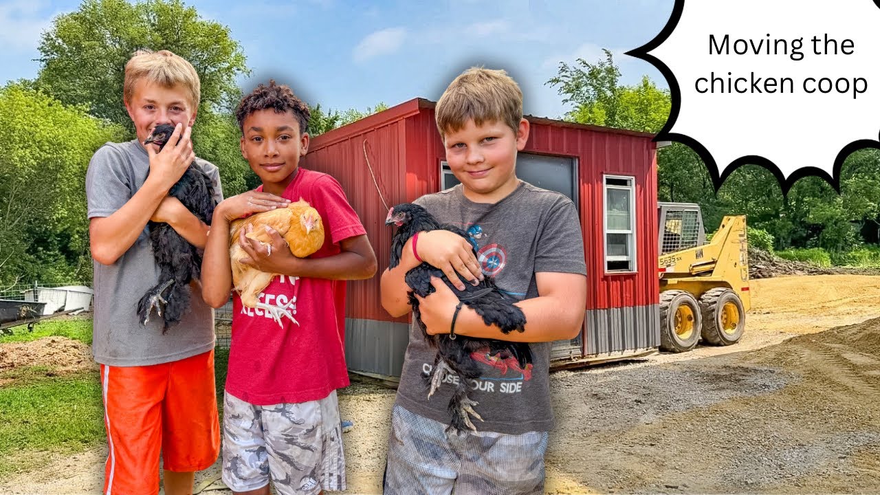 The Storm Caused us the Rethink How We Raise our Chickens. RuthAnn Zimmerman
