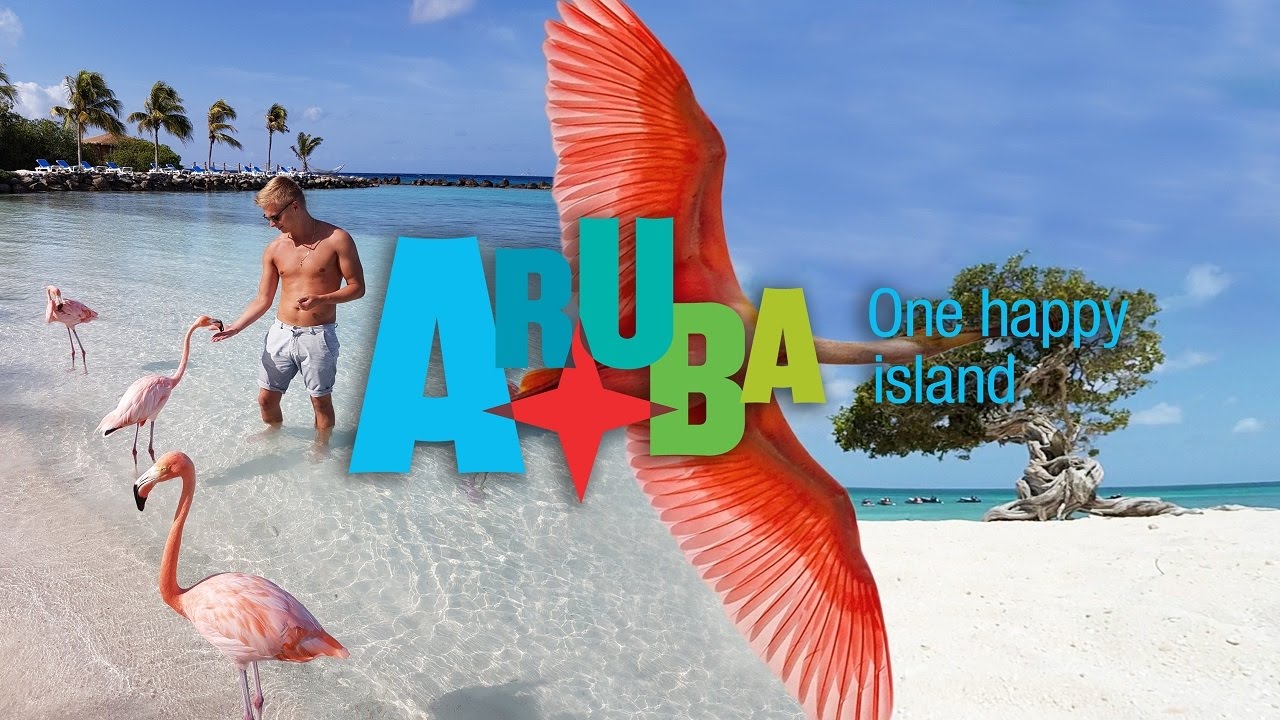 Aruba 2016 Our Trip To One Happy Island  Flamingo island PL