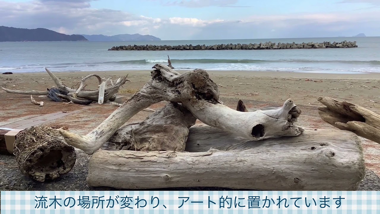 【動画No.1307】驚き❗️流木アートに変化がありました