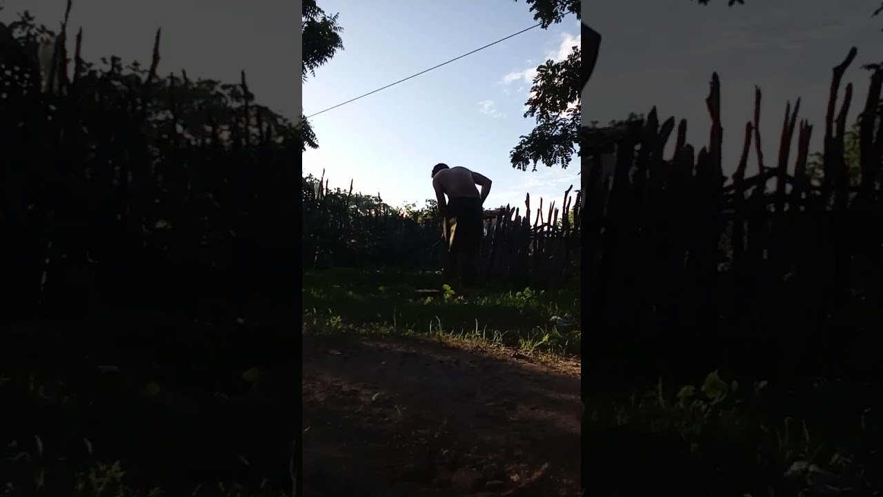 Eu limpando o quintal da minha casa