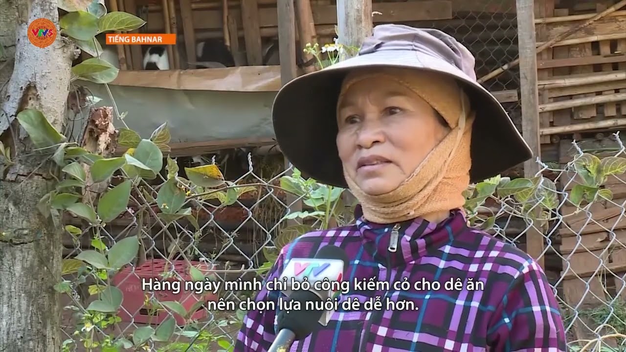 [TIẾNG BA NA] GIẢM NGHÈO BỀN VỮNG TẠI TÂY NGUYÊN | VTV5