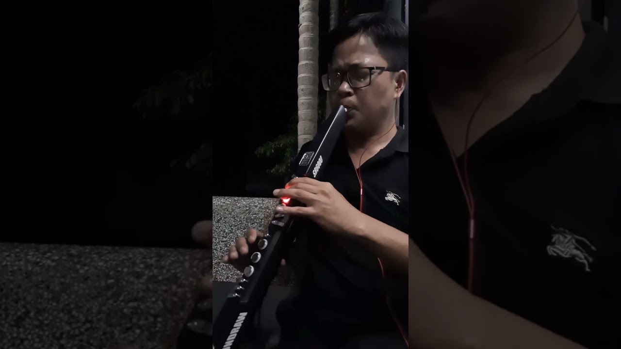 Hai mùa mưa - Sáo điện tử