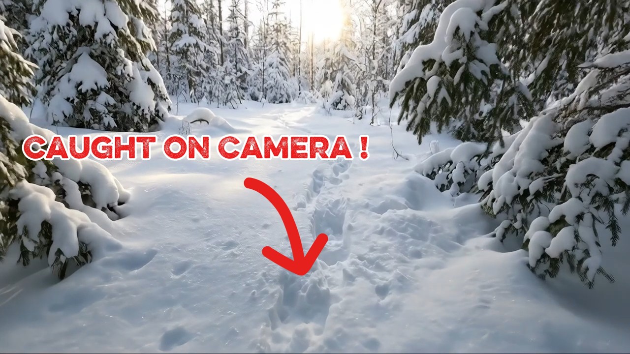I found STRANGE Tracks in the Snow and hid My Trail Camera... Who Showed Up?