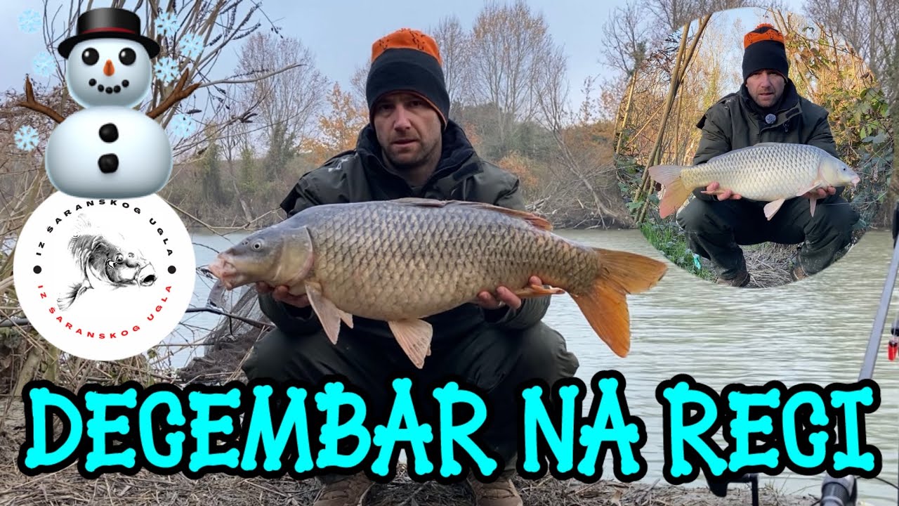 ☃️❄️ZIMSKO PECANJE šarana na RECI Decembar 2024 ❄️☃️ Winter carpfishing