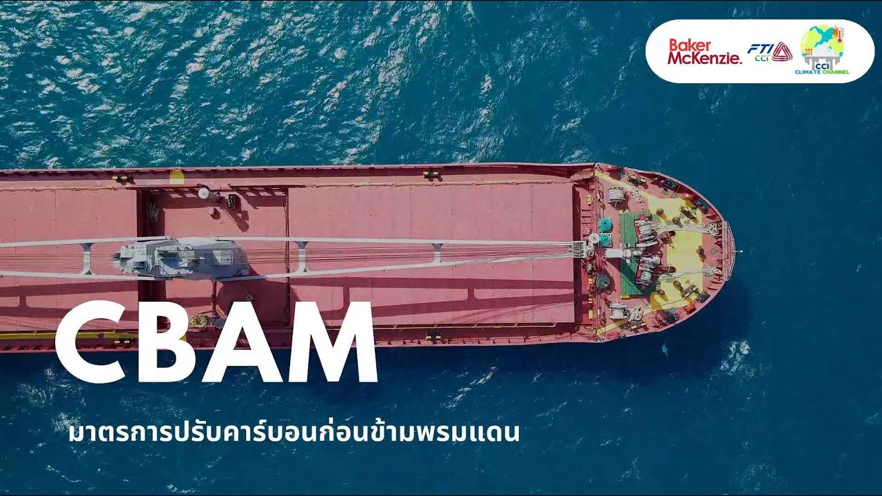 Разбор CBAM: что нужно знать предпринимателям? 🌍