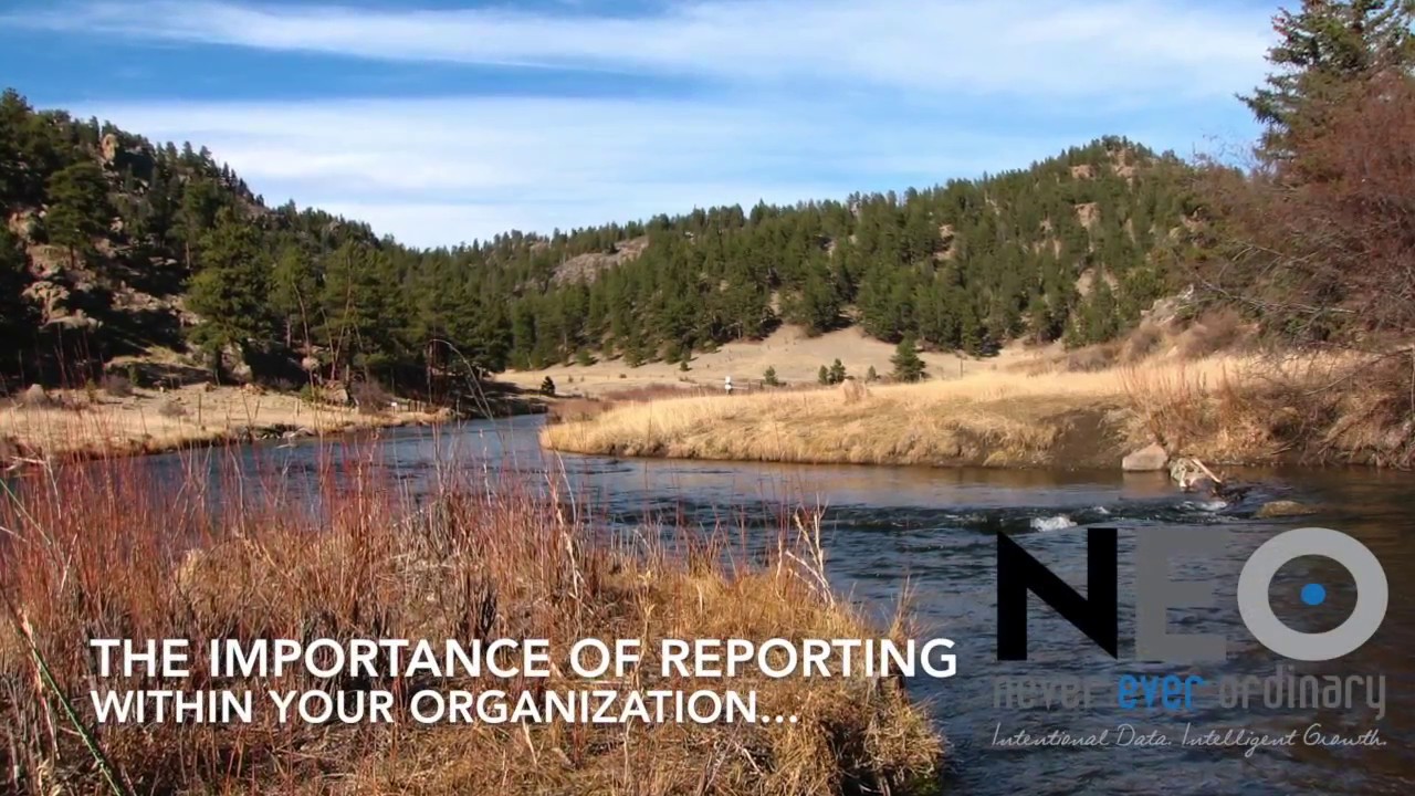 The importance of reporting within your organization