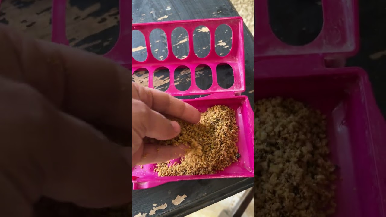 باتيه (طعام رطب) للطيور معزز بالفواكة والخضراوات والحشرات من شركة كارفو