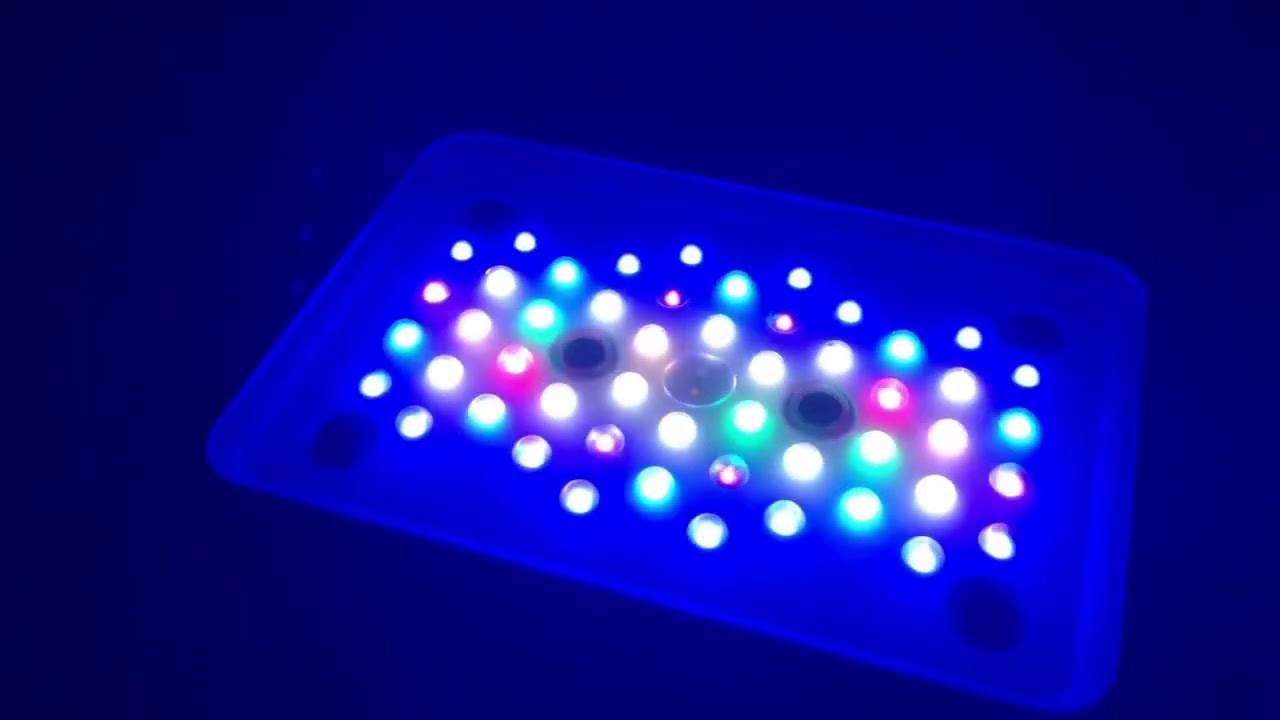 Unboxing Radion Xr15 G5 Pro
