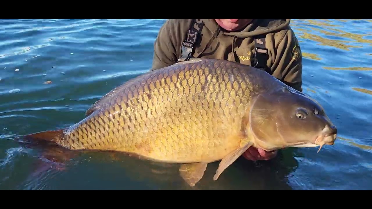 Nov&yacute; osob&aacute;ček 26,80 kg