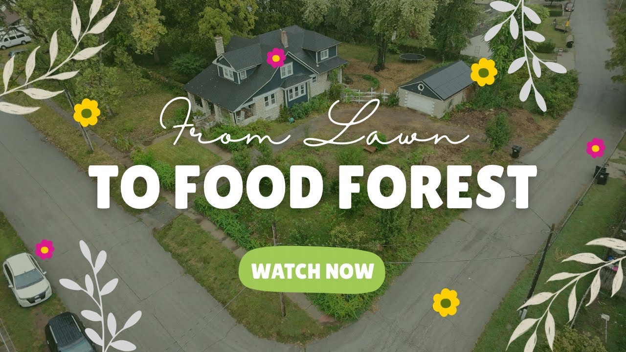 Экскурсия по саду Front Yard Food Forest Chaos — Индепенденс, штат Миссури