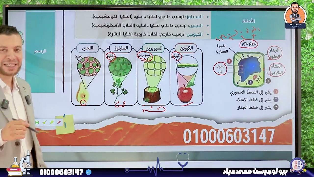 🔥 أقوى مراجعة للفصل الأول | الدعامة والحركة | أحياء 3 ثانوي 2026 | شرح وحل أسئلة في فيديو واحد!