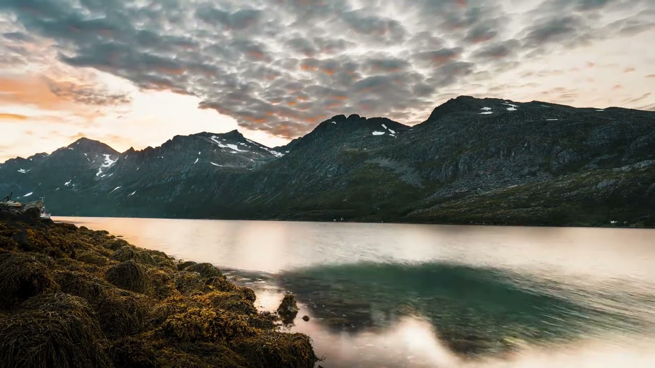 NATURE  | VFX LOOP | LED DJ VISUAL | STREAM BACKGROUND | 1080
