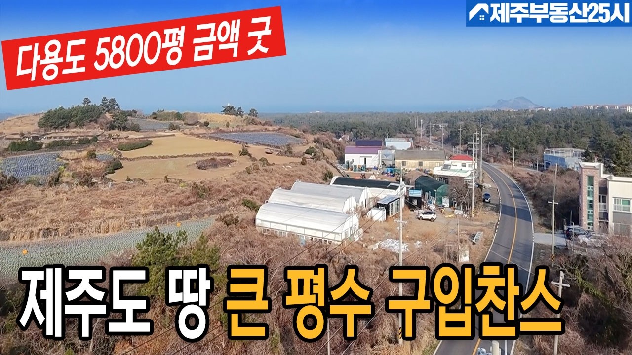 [매물번호0645] 제주도 평지임야 2차선접 다용도 활용가능 위치좋은 저렴한 금액 5800평