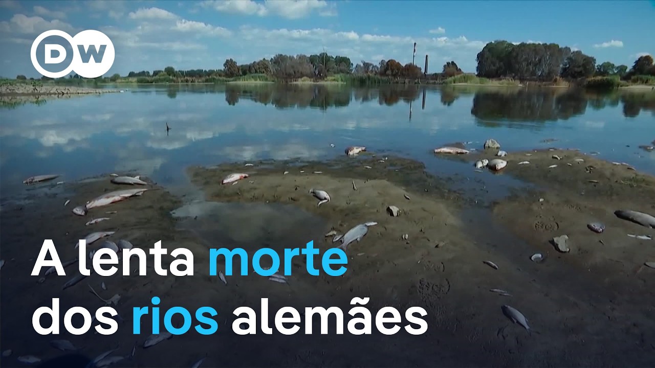 Alemanha tenta salvar seus rios, mas pode ser tarde demais | Document&aacute;rio