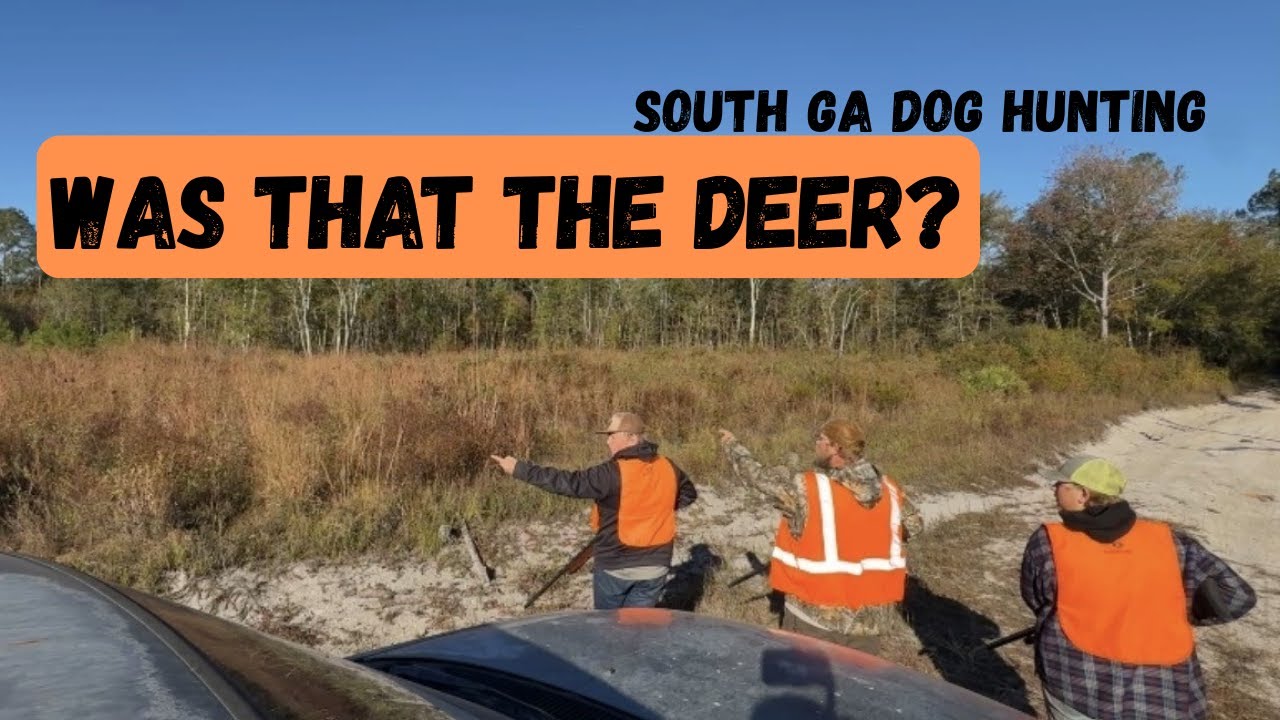 МЫ ПРЕСЛЕДОВАЛИ ЭТОГО ОЛЕНЯ ВЕЗДЕ!