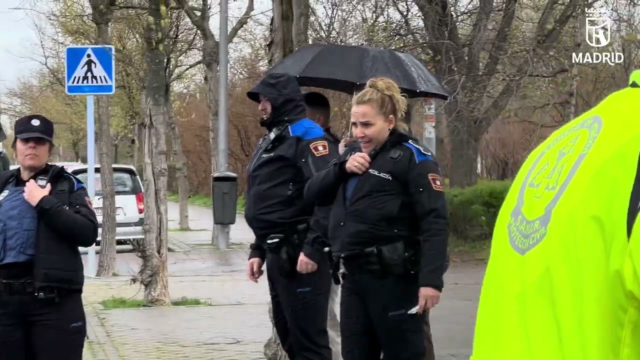 Atropello C/Sofía 7marzo26