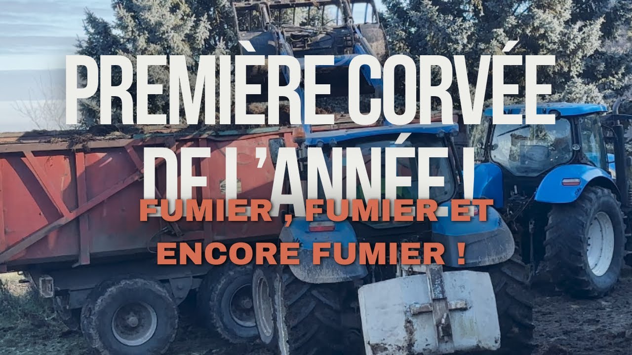 CURAGE HIVERNAL et surtout BONNE ANNÉE !