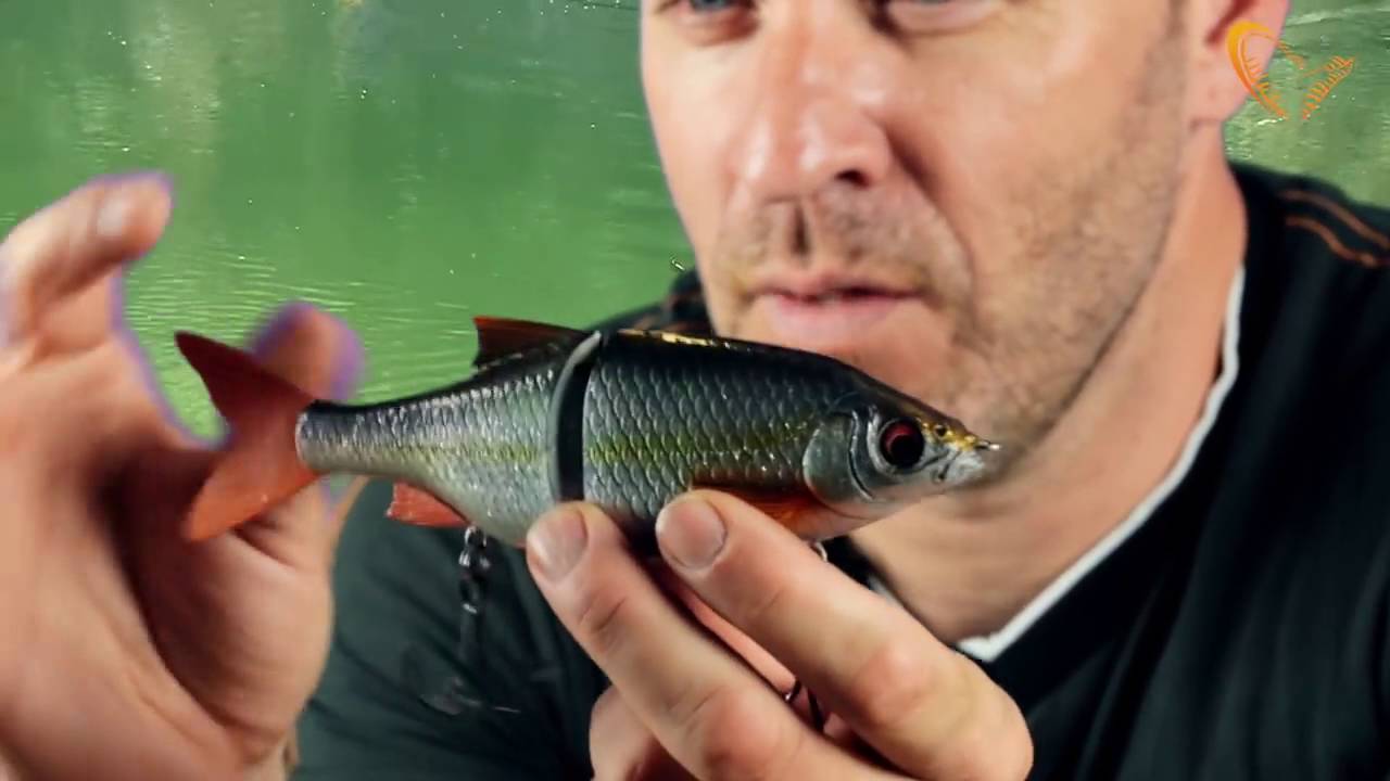 SAVAGE GEAR 3D ROACH SHINE GLIDER