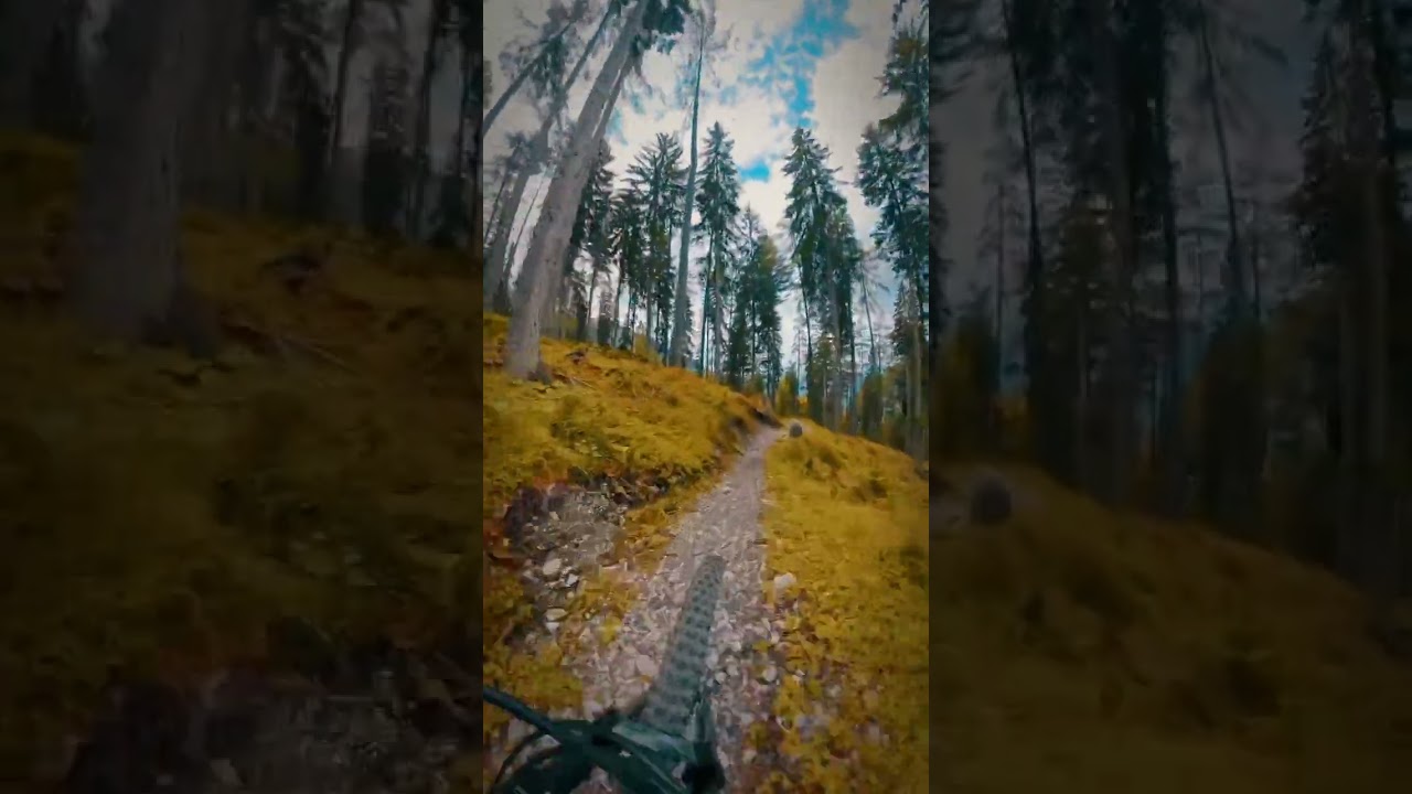 sch&ouml;nes Wochenende, #MTBlovers 🚵🌞&hearts;️ #Trailsuche #radicallifestudios