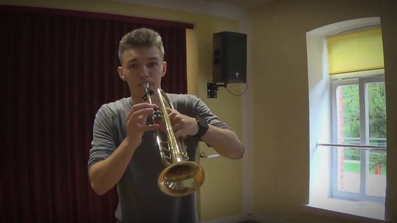 Animals Remix (Martin Garrix & Gioni) - Trumpet Cover by DDTRUMPET
