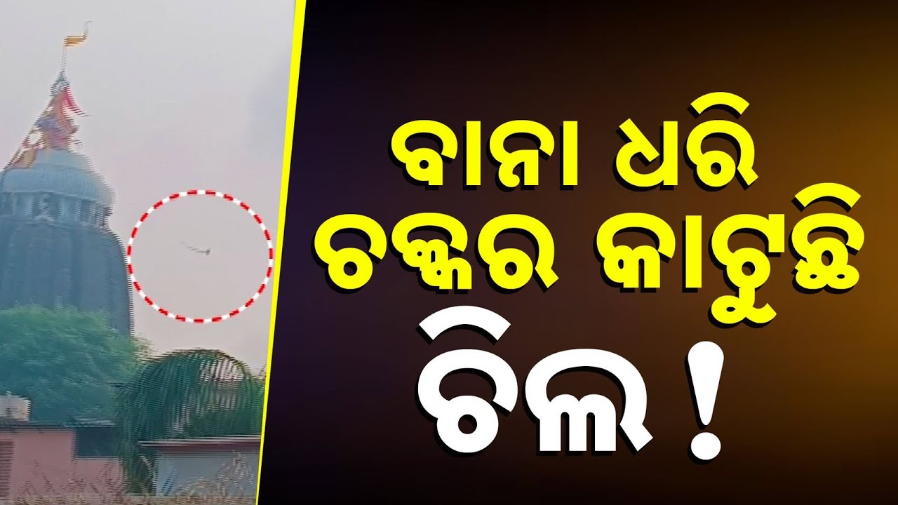 Rare Scene Over Puri Jagannath Temple | Eagle Flying With Flag Goes Viral