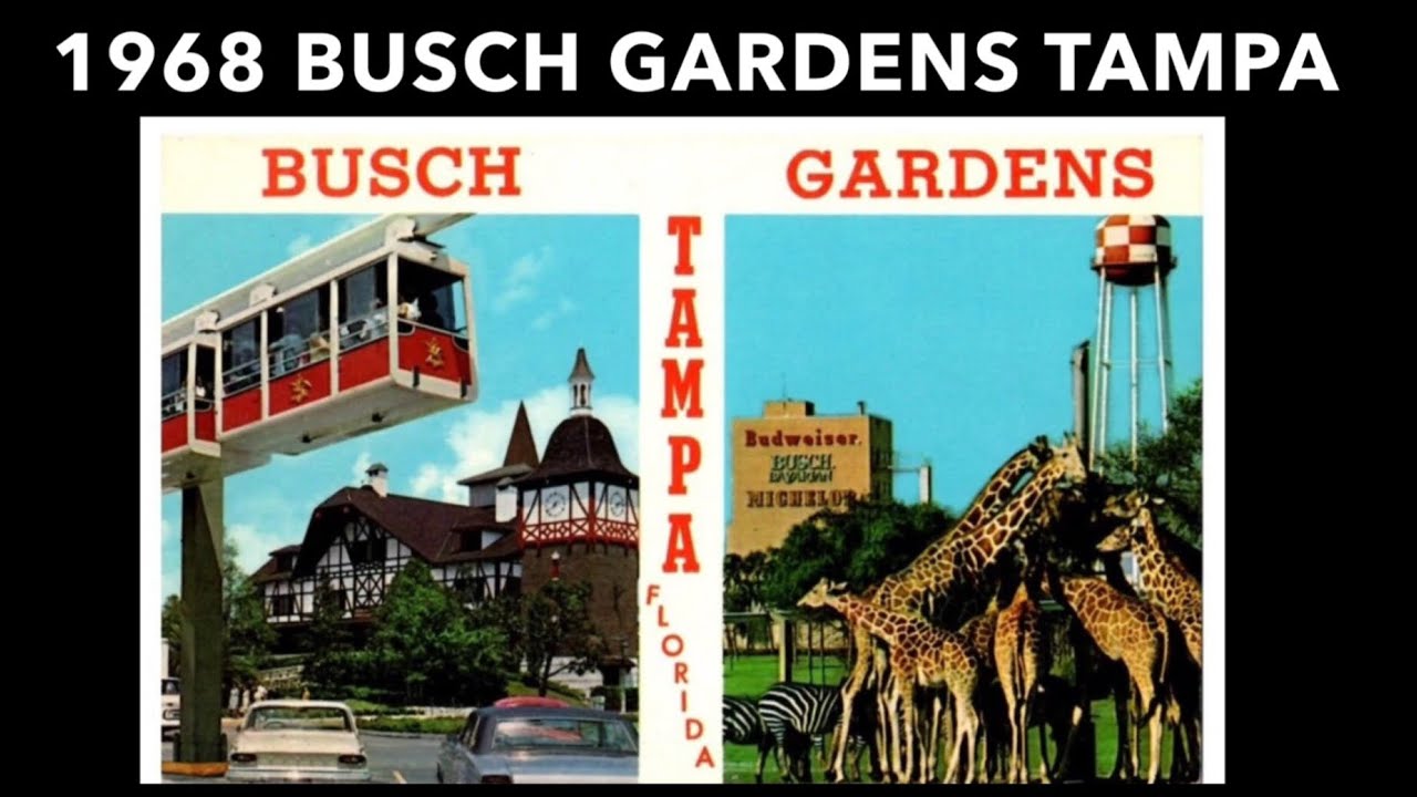 1968 Busch Gardens Tampa