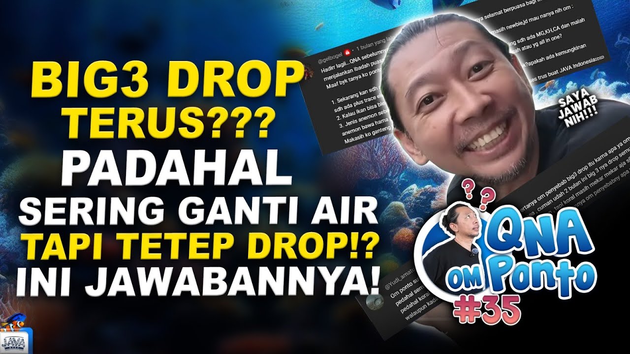 #QNA 35 BARENG OM PONTO - CARANYA MAIN FISH ONLY MARINE TANK GIMANA YANG BENER YA?