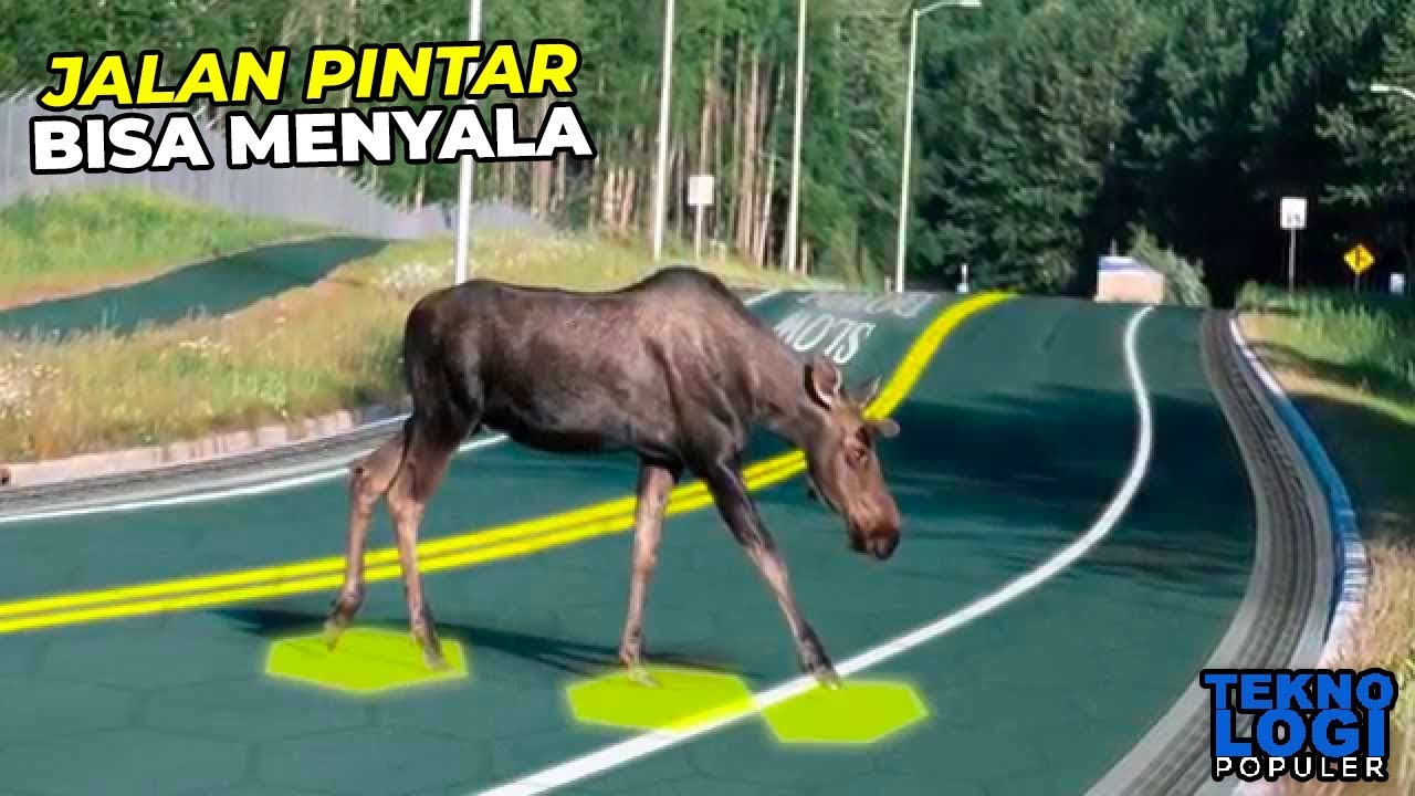 10 Inovasi Konstruksi Jalan Ramah Lingkungan Masa Depan Paling Canggih