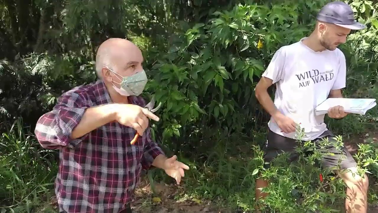 Pomar Correto Poda e Manejo, Produzir em Área sem Cultivo, Retorno com Sergio Semerdjian ao SAL