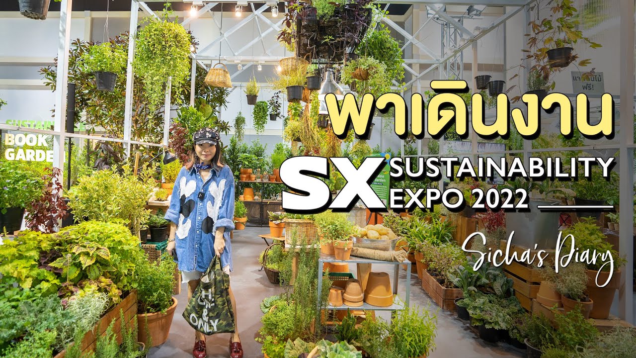 เดินชมต้นไม้โซน marketplace งาน Sustainable Expo 2022