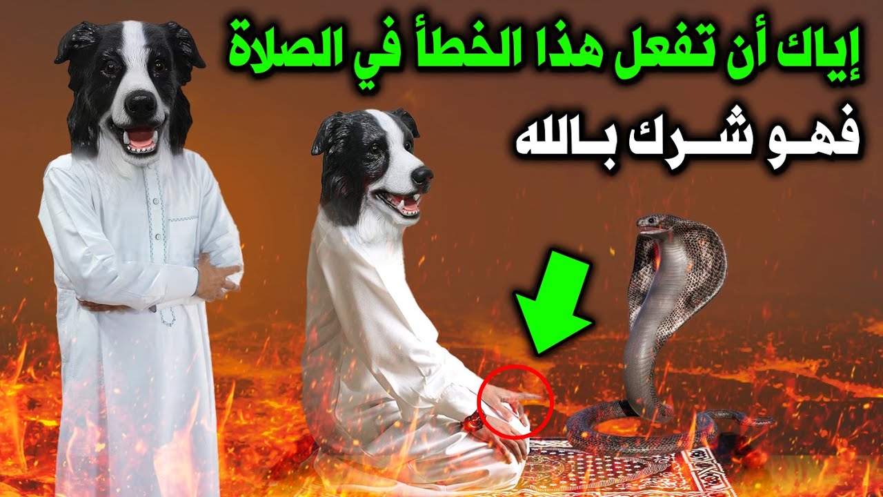 احذر أن تتشبه بالكلاب في صلاتك ! خطأ إذا فعلته فى الصلاة تشبه الكلب ! أخبرنا به النبى ﷺ احذروا