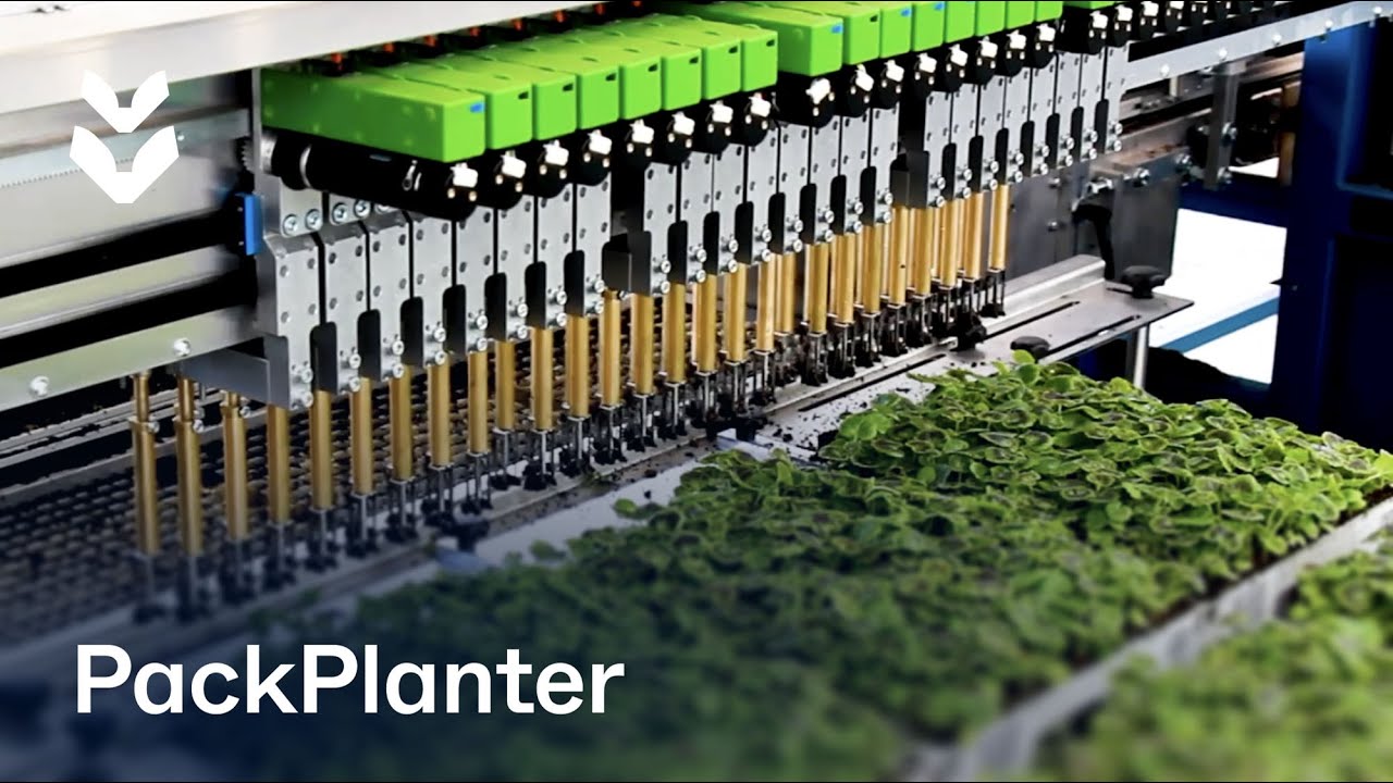 New transplanting line for T&E Forshaw