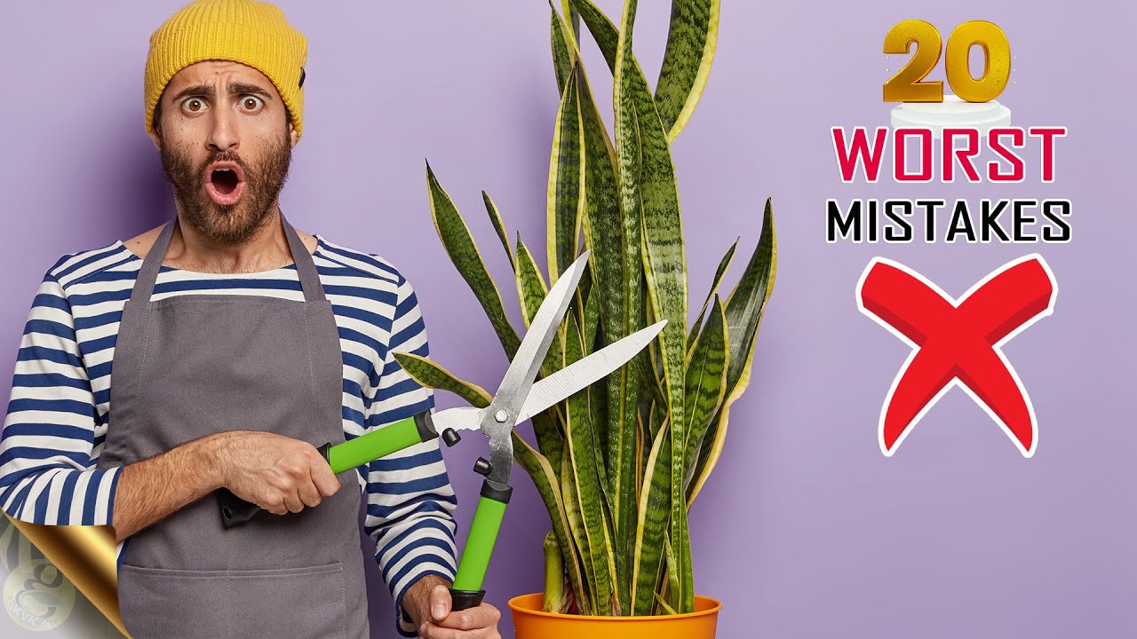 20 WORST GARDENING MISTAKES &ndash; Unknowingly? | GARDEN TIPS