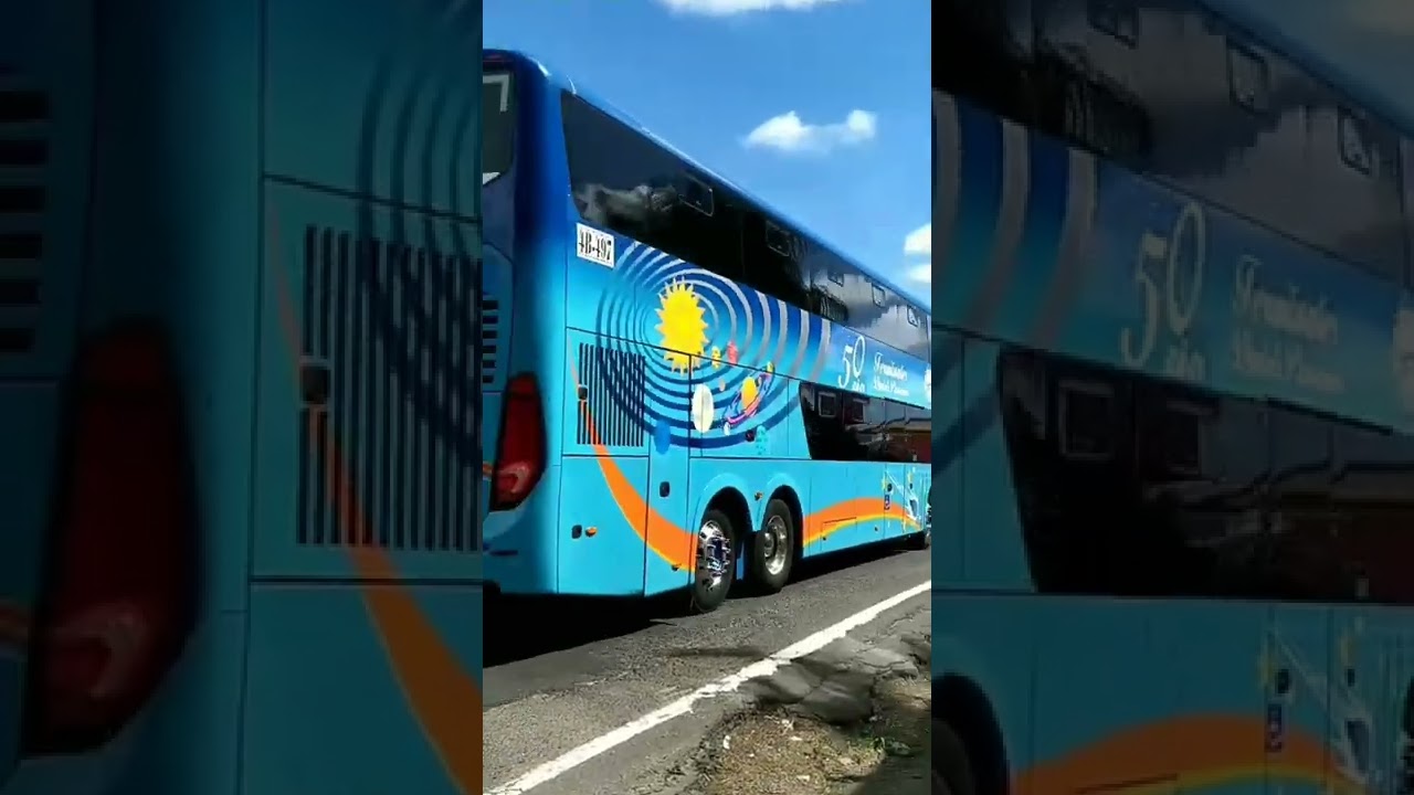 Buses David Panamá TDP 😍 2022