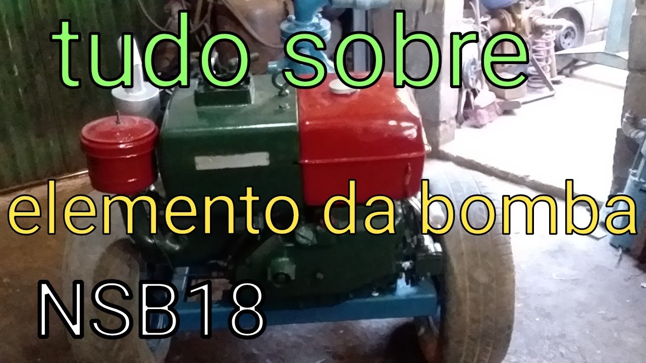 Montagem do elemento da bomba.  Motor NSB18