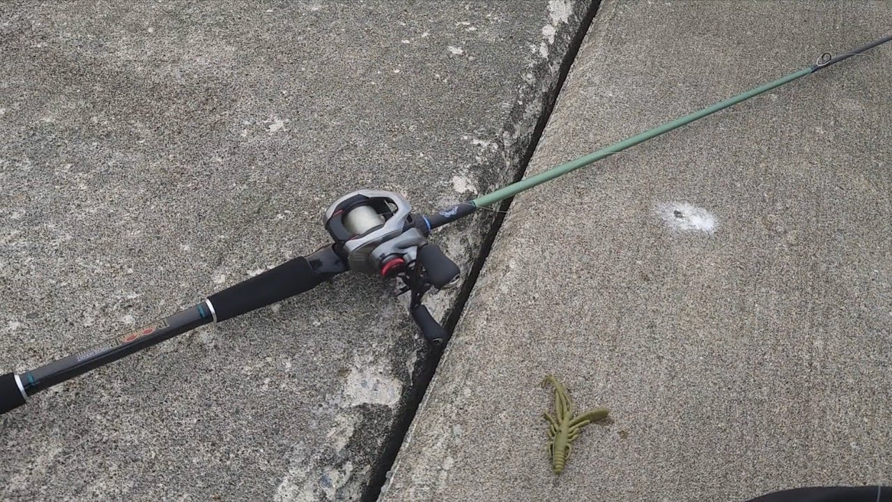 ロックフィッシュボトムで堤防ロックフィッシュ