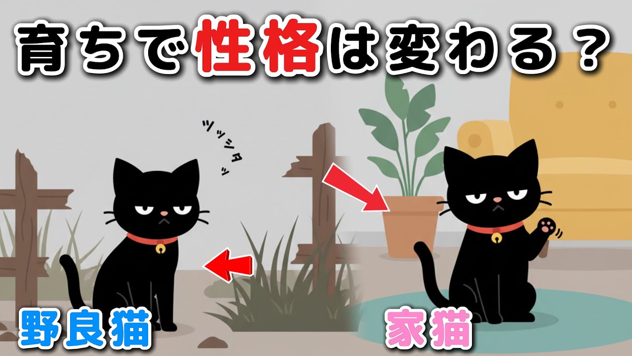 【猫雑学】育った環境で性格は変わる？実は知らない猫の本音5選