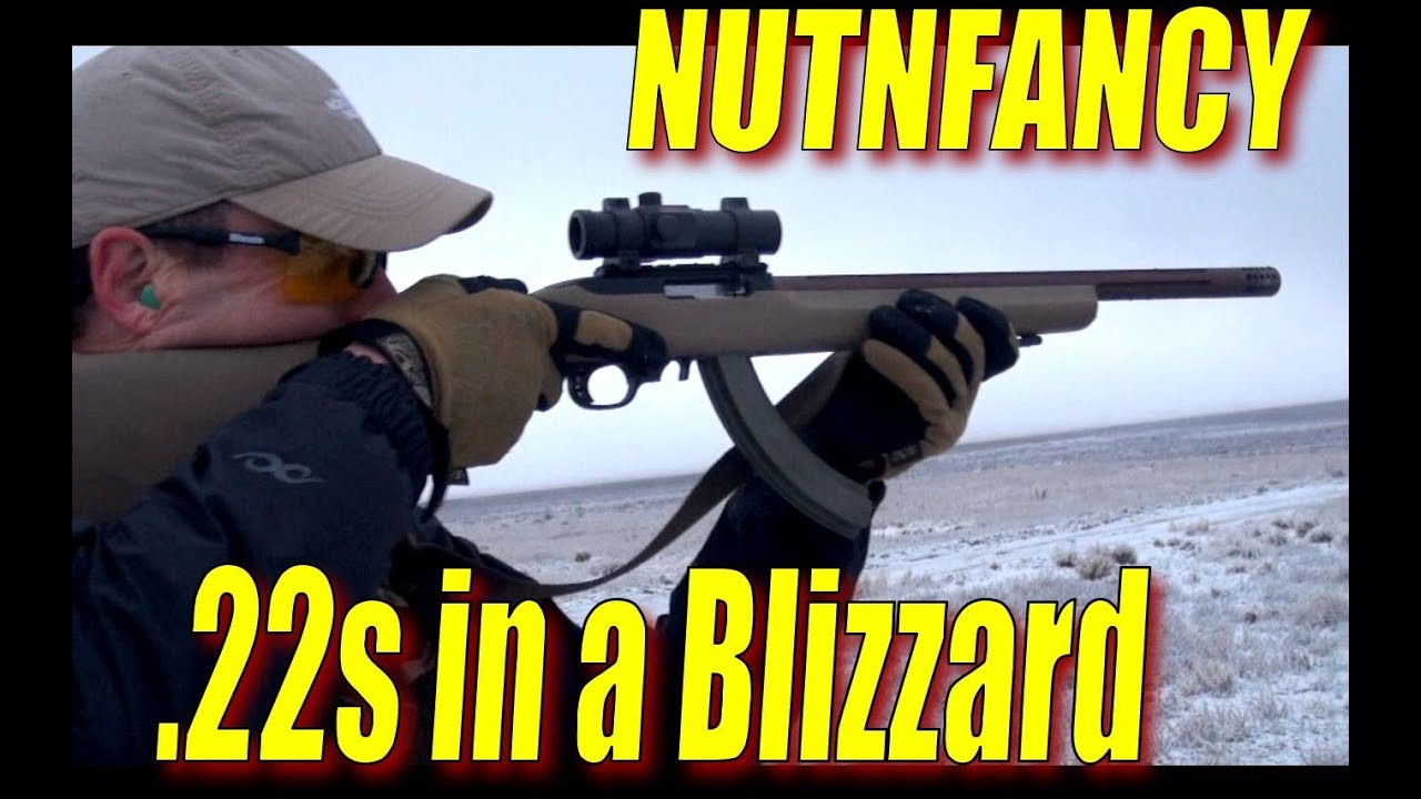 Tactical Solutions .22 Testing in Snow, Pt 4 by Nutnfancy