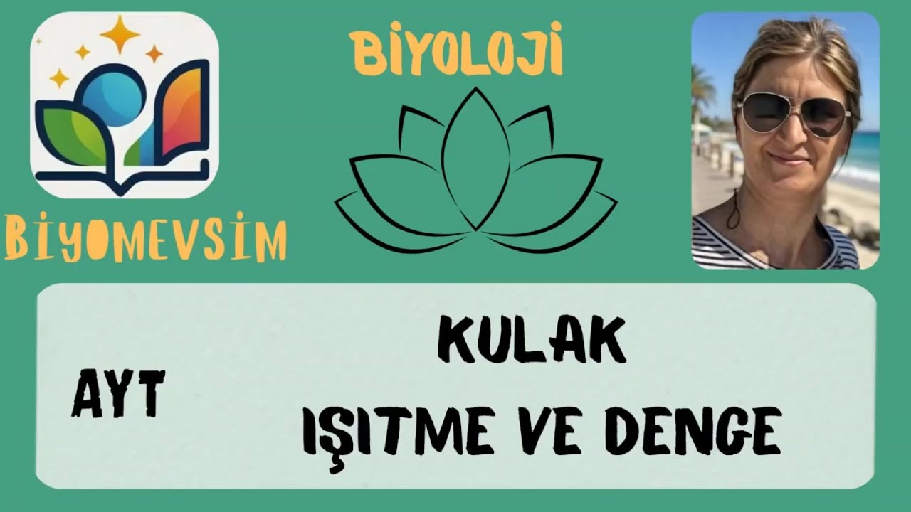 AYT-İŞİTME VE DENGE( KULAK)