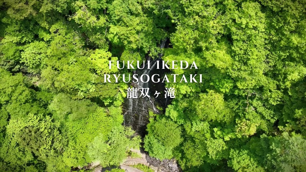 【ドローン撮影】龍双ヶ滝‐福井県池田町　夏に行きたい滝第1位獲得！