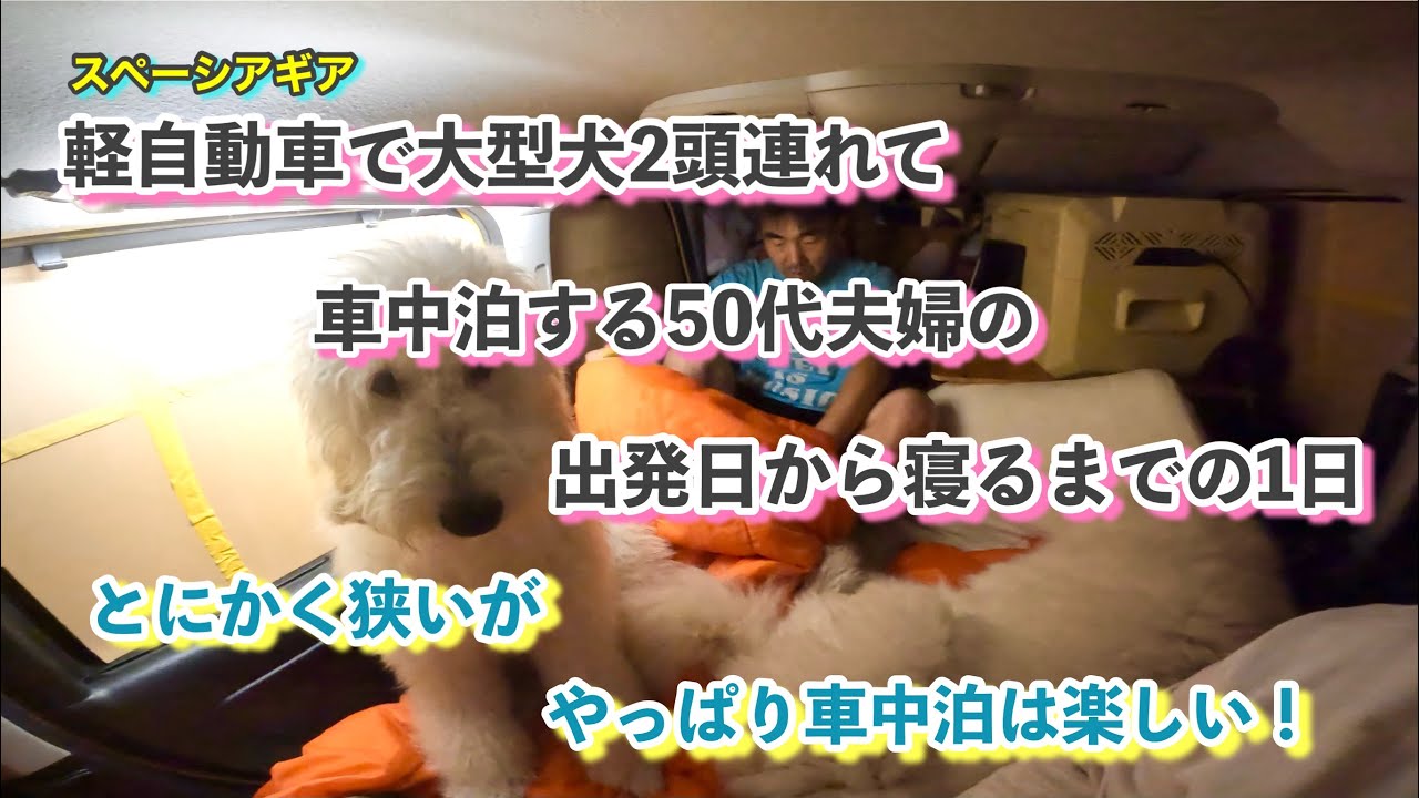 【軽自動車で大型犬2頭連れ！？】どうやって車中泊してるの？出発から車中泊までの1日！