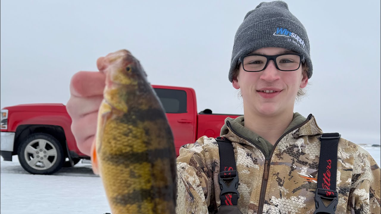 Targeting schools of Perch in Flooded Timber (Devils Lake)
