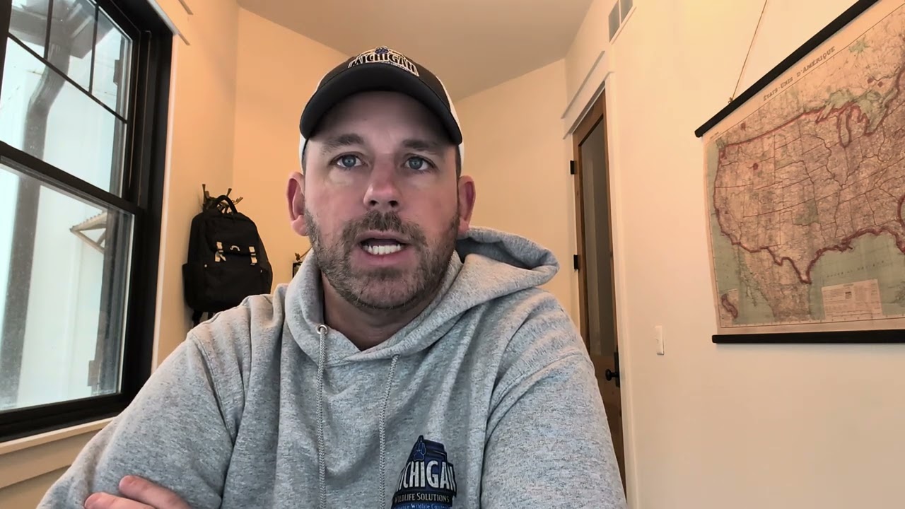 What does a squirrel in the attic sound like?