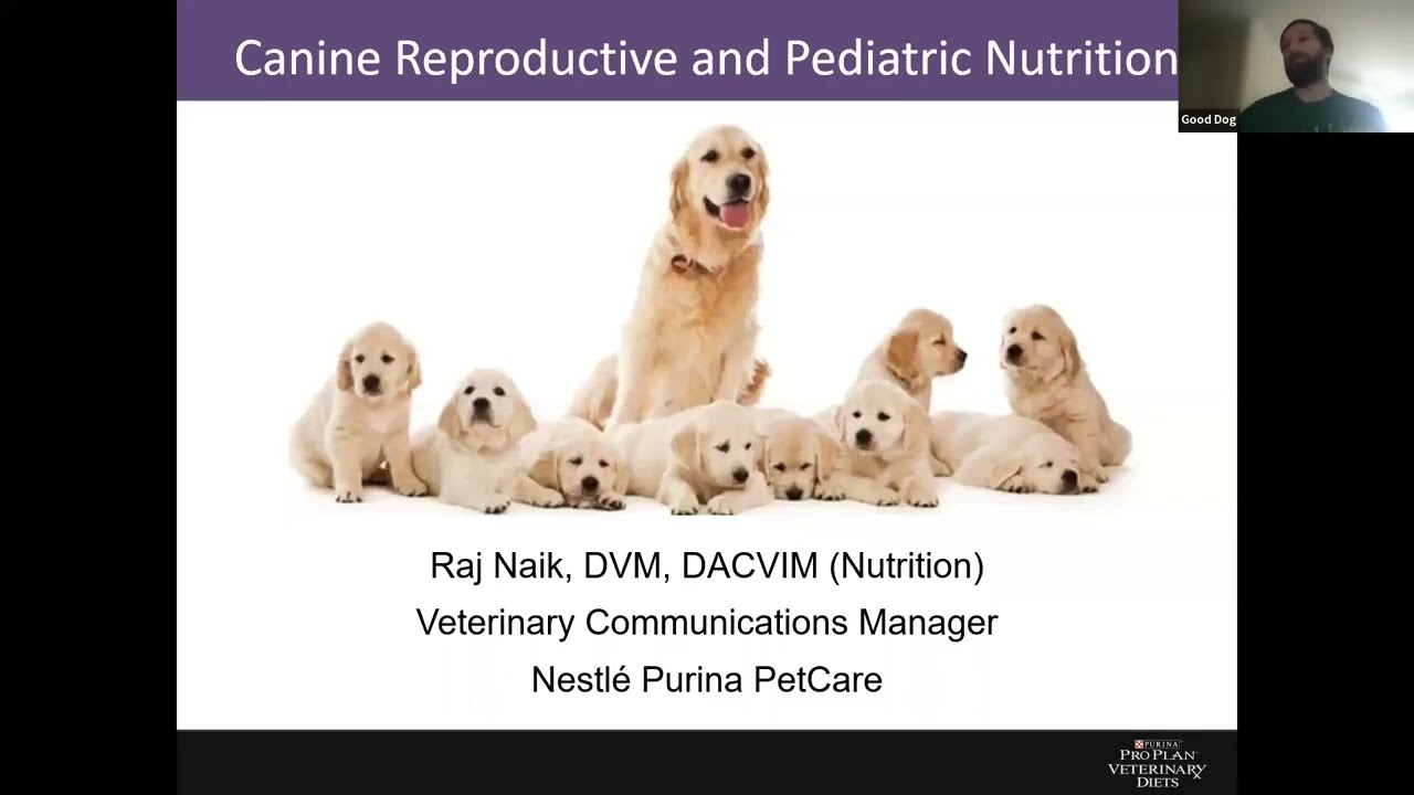 Canine Reproductive Nutrition & Pediatrics Webinar Presented by Purina Pro Plan right here