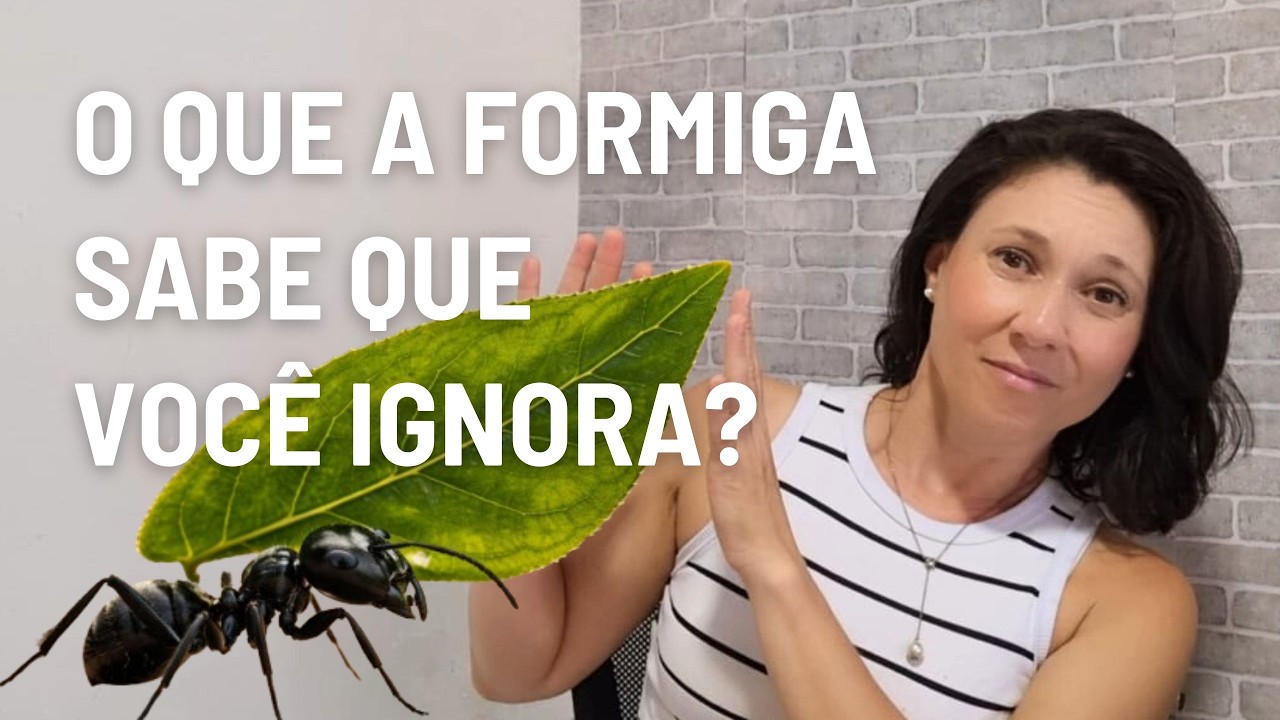 3 LIÇÕES: Que a formiga de Provérbios nos ensina como preparo financeiro?